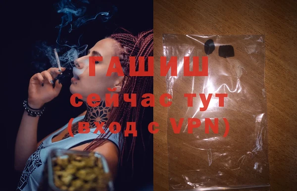 мдпв Богородск