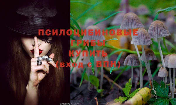 меф Беломорск