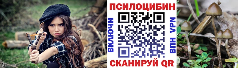 Галлюциногенные грибы прущие грибы  kraken онион  Кондрово 